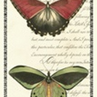 Butterfly Prose Panel I