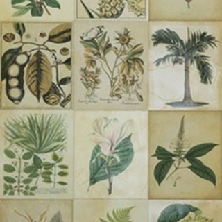 Botanical Sampler II