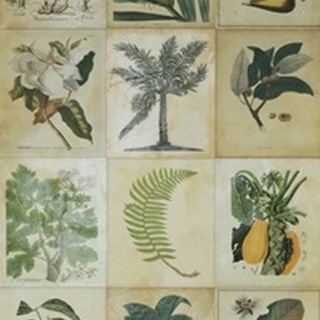 Botanical Sampler I