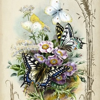 Victorian Butterfly Garden V