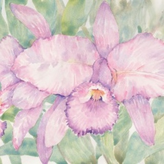 Tropical Orchid Watercolor II