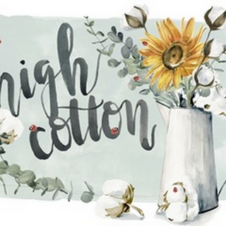 Cotton Bouquet Collection A
