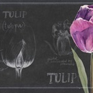 Chalkboard Flower Study Collection D