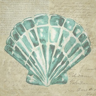 Seafoam Shell III