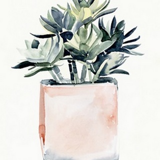 Potted Succulent IV