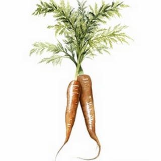 Root Vegetable III