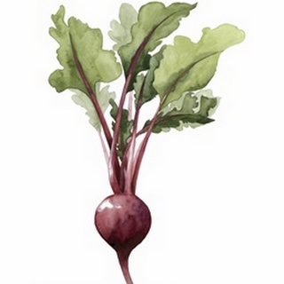 Root Vegetable II