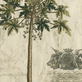 Palm Fresco III