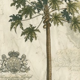 Palm Fresco IV