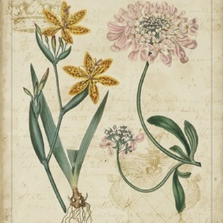 Botanical Repertoire I