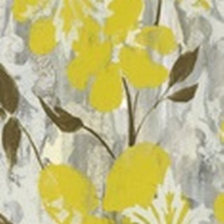 Buttercups on Grey I