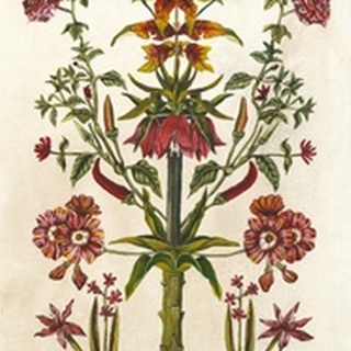 Botanical Hybrid I