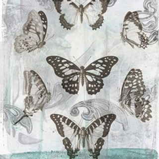 Butterflies and Filigree I