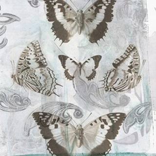 Butterflies and Filigree II