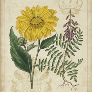 Botanical Repertoire III