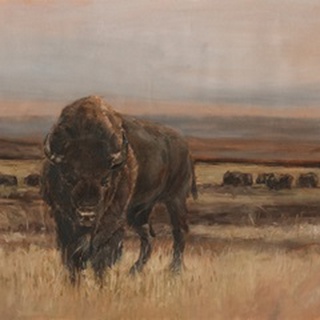 American Buffalo on the Plains I