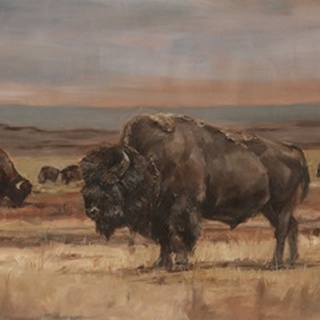 American Buffalo on the Plains II