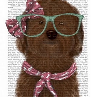 Cockerpoo, Chocolate, with Glasses and Scarf