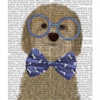 Cockerpoo, Blonde, with Glasses and Bow Tie