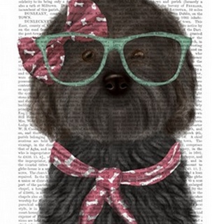 Cockerpoo, Black, with Glasses and Scarf
