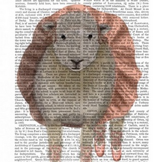 Ballet Sheep 1 Book Print