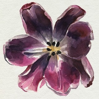 Susie's Tulips II