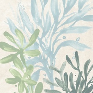 Swaying Seagrass II