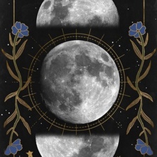 Night Moon Collection B