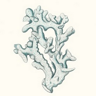 Antique Coastal Coral IV