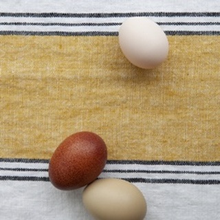 Eggs on Ochre Napkin