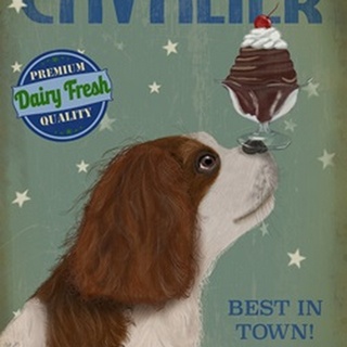 Cavalier King Charles, Brown White, Ice Cream