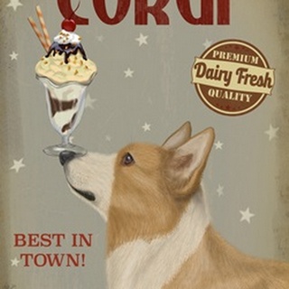 Corgi, Tan, Ice Cream