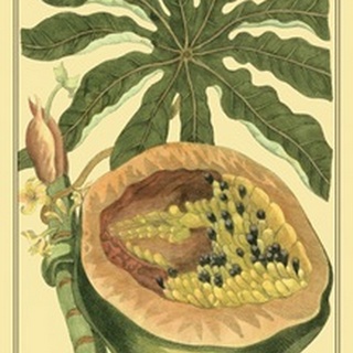Exotic Melons III