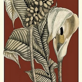 Exotic Botanical I