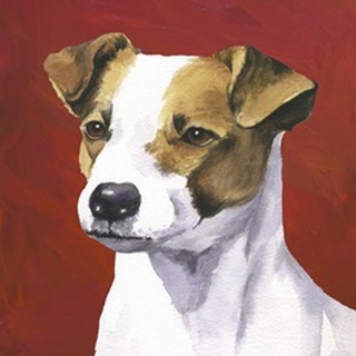 Dog Portrait-Jack