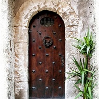 Doors of Europe III
