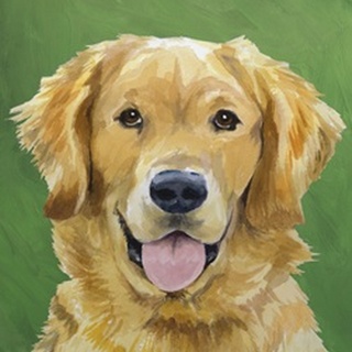 Dog Portrait-Golden