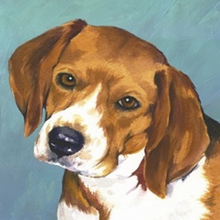 Dog Portrait-Beagle