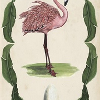 Antiquarian Menagerie - Flamingo I