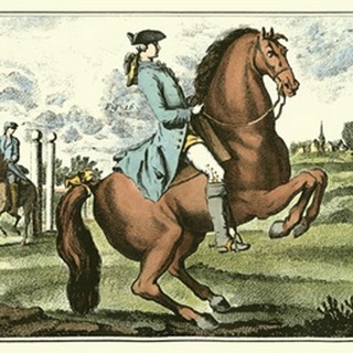 Equestrian Training III