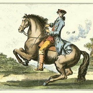 Equestrian Training IV