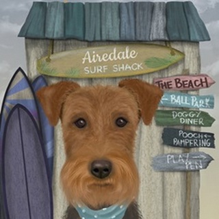 Airedale Surf Shack