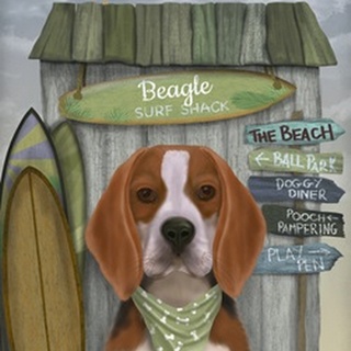 Beagle Surf Shack