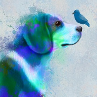 Beagle Blue Splash