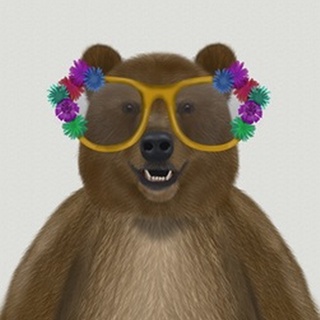 Bear and Flower Glasses