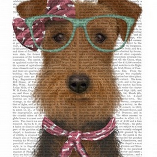 Airedale with Glasses and Scarf