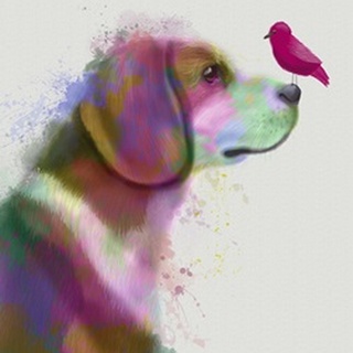 Beagle Rainbow Splash