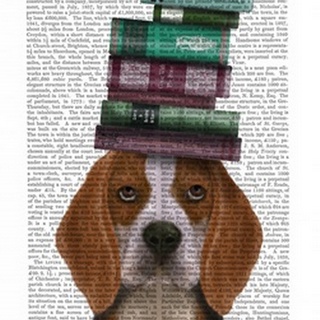 Beagle and Books