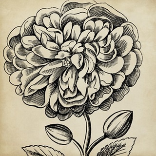 Graphic Floral V