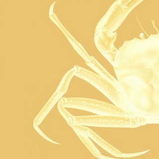 Contrasting Crab in Mustard a